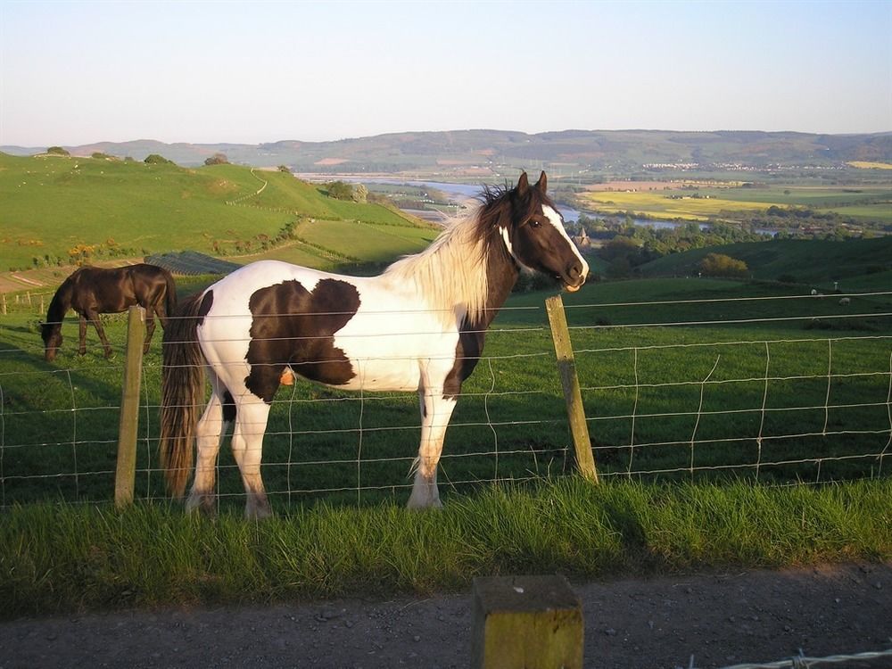 パース Northlees Farm Bed & Breakfast エクステリア 写真